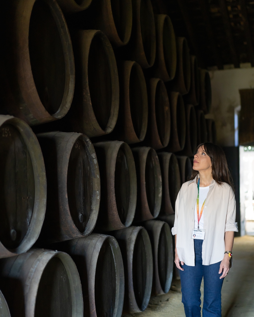 Visita bodegas en Jerez