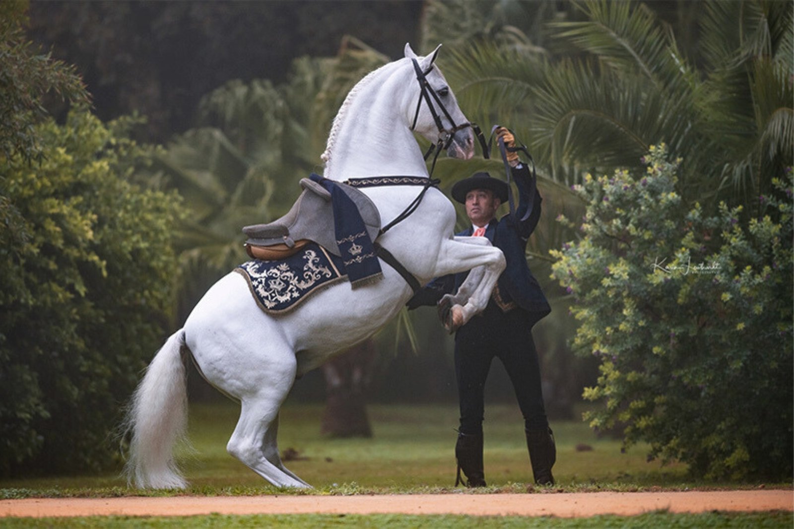 Horses Show at the Royal Andalusian School of Art in Jerez