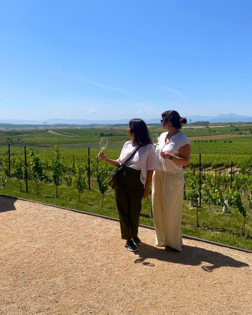 viñedos en La Rioja