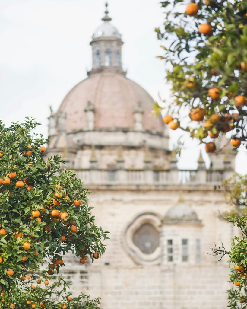 Walking tour in Jerez