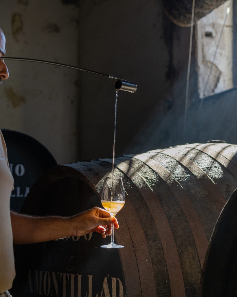 Private tour in a sherry wines bodega in Jerez de la Frontera