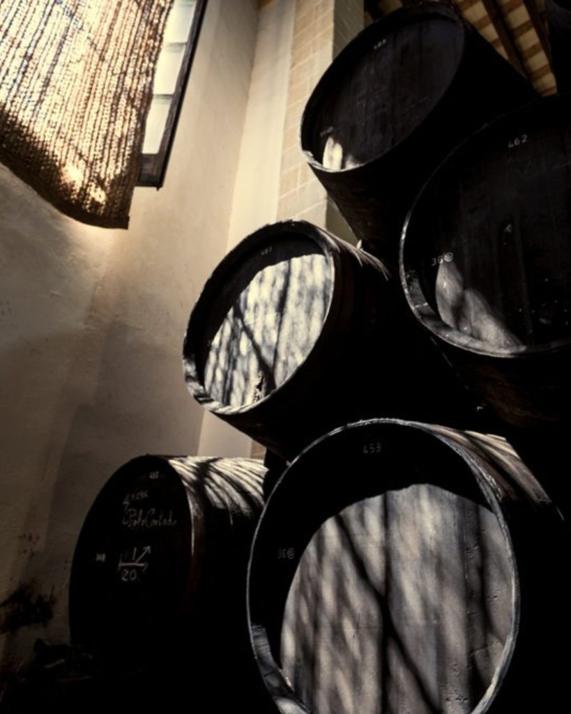 Private tour in a sherry wines bodega in Jerez de la Frontera