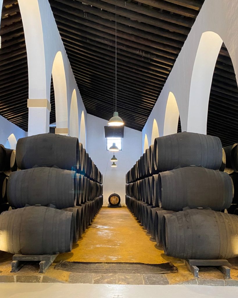 Private tour in a sherry wines bodega in Jerez de la Frontera