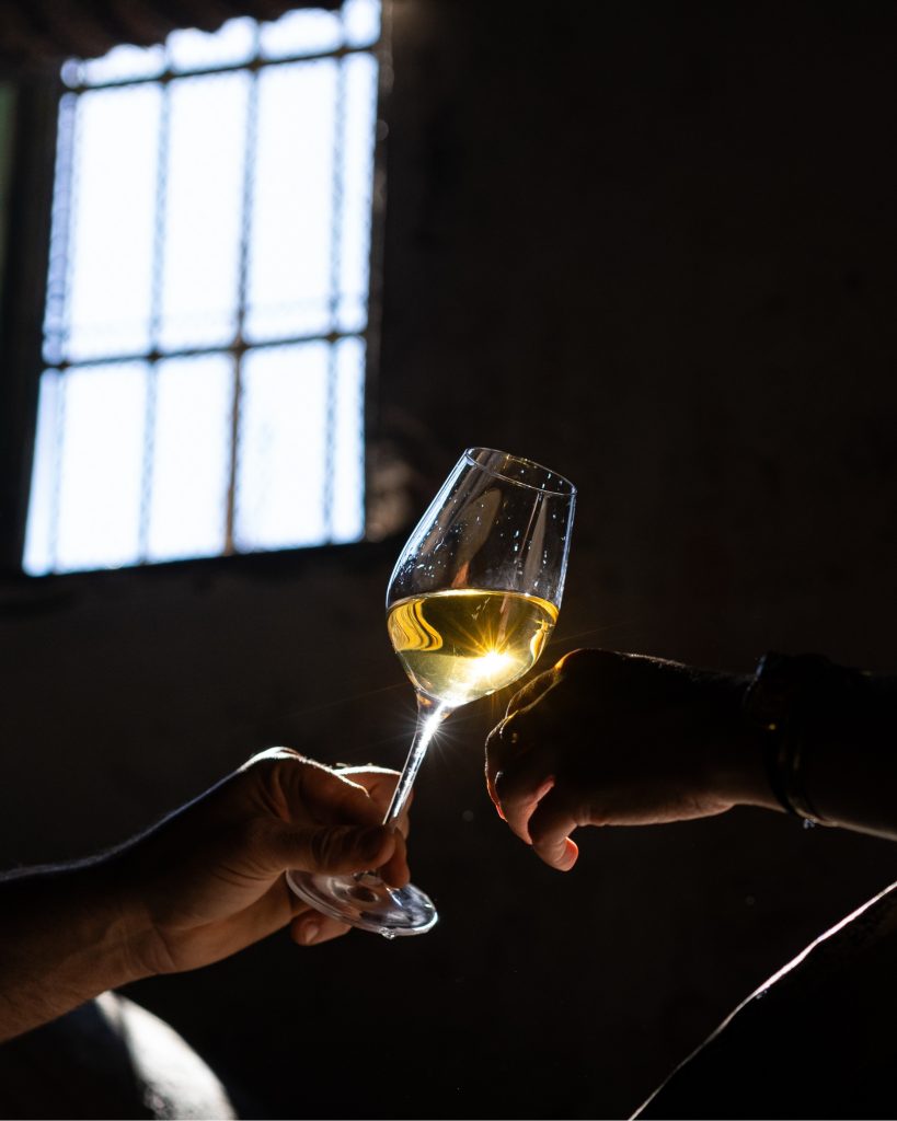 Private tour in a sherry wines bodega in Jerez de la Frontera