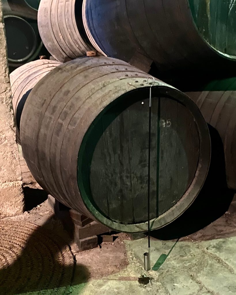 Private tour in a sherry wines bodega in Jerez de la Frontera