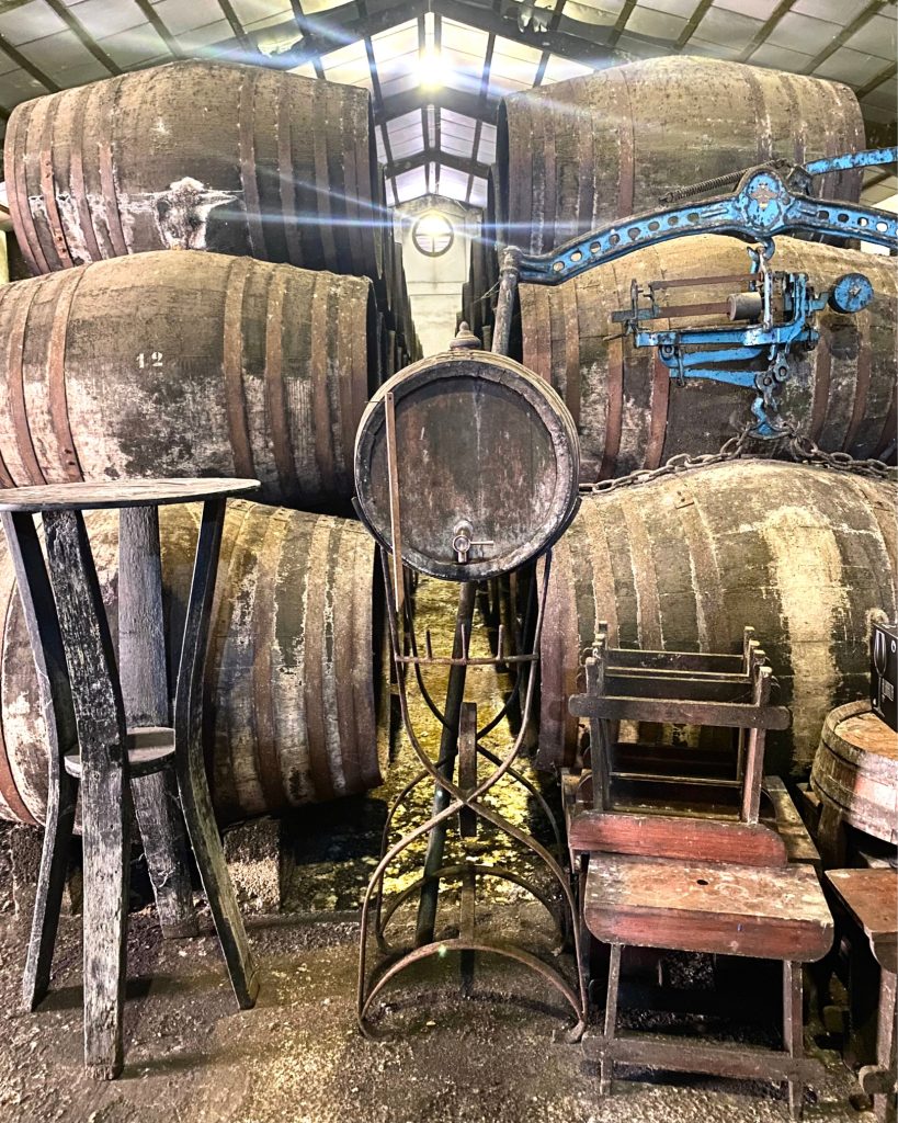 Visit wineries in Sanlucar