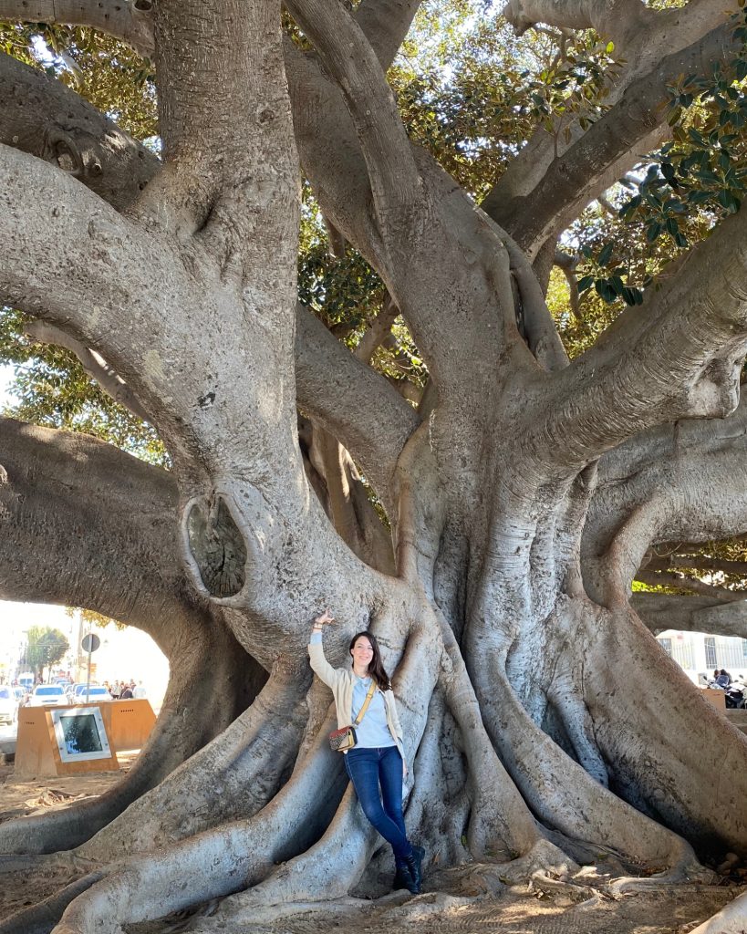 Private tour in Cadiz
