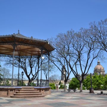 Tours en Jerez de la Frontera