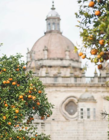 Catedral de Jerez 2