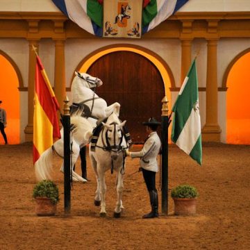 espectáculo caballos en Jerez